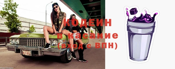 дживик Белокуриха