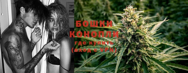 дживик Белокуриха