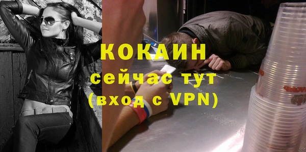 дживик Белокуриха