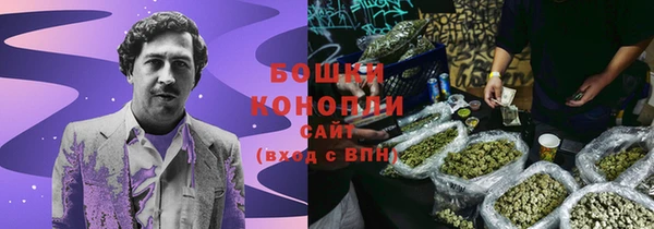 дживик Белокуриха