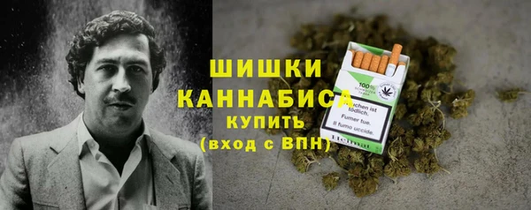 дживик Белокуриха